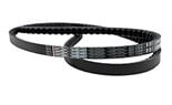 BW-belts-MCPR-11221-BW_TorqTitan_13