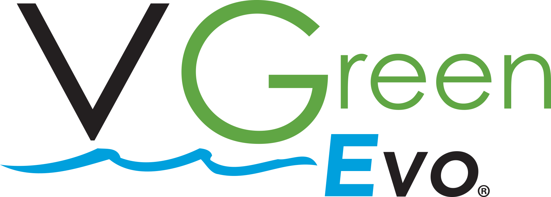 VGreen Evo Logo