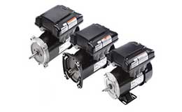VGreen® 085 / 165 Variable Speed Motor