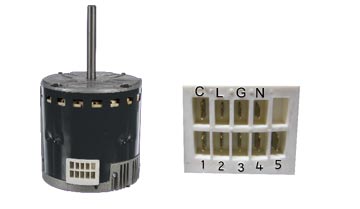 Genteq-models-X13