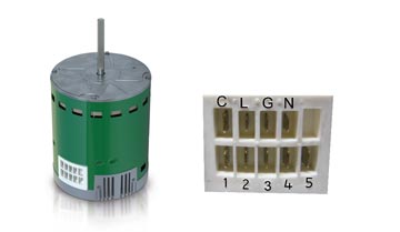 The Evergreen CM motor