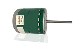 Evergreen DM Motor