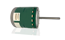 Evergreen DM Motor