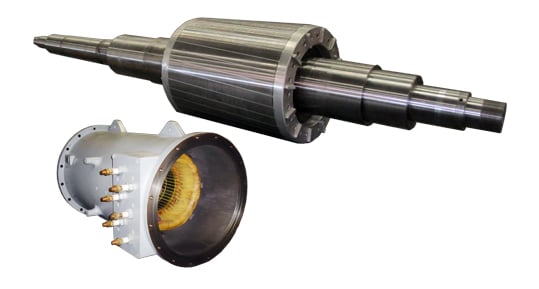 Medium High Voltage Induction Motors