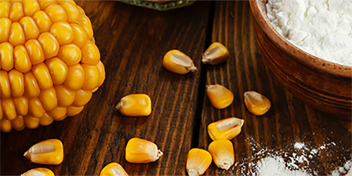 corn cob and flour on the brown table