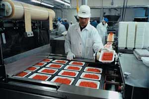 Beef Processing