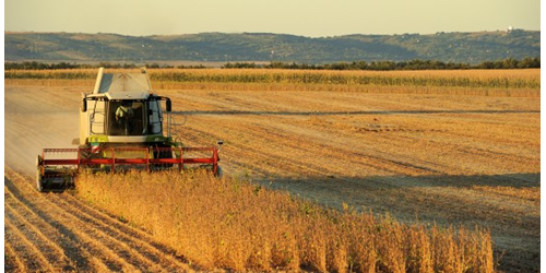 LEESON Agriculture Solutions
