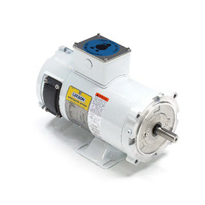 Washdown Motors