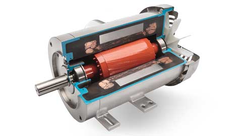 Extreme Clean cutaway