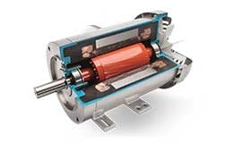 LEESON Extreme Clean Cutaway