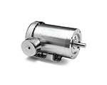 Washdown Motor