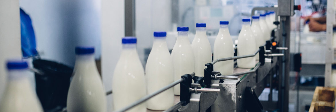 Line of filled beverage bottles on a conveyor.