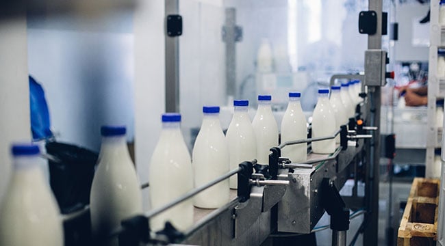 Milk in a factory