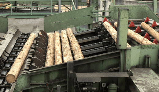 Rex Bearing for Sawmill