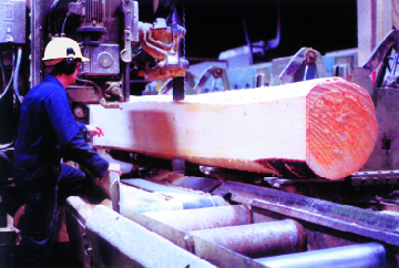 Sawmill featured content Rexnord brand thumbnail