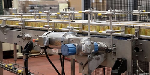 Craft Brew Conveyor Solution Story