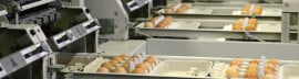 Food-Processing-Mechanical-Motion