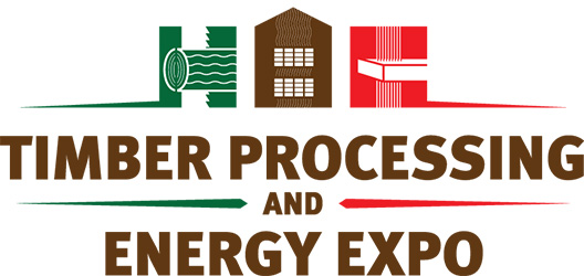 TPEE 2024 Logo