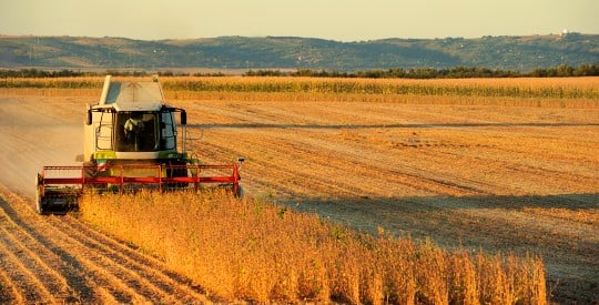 Agriculture