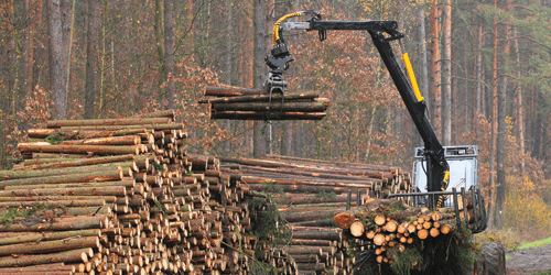 Forestry Equipment Moving Lumber