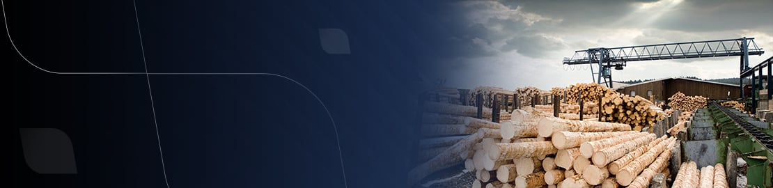 PulpPaperForestryPageBanner