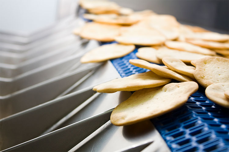 Crackers Conveyor