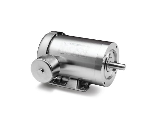 Photo of LEESON Extreme Duck Ultra motor