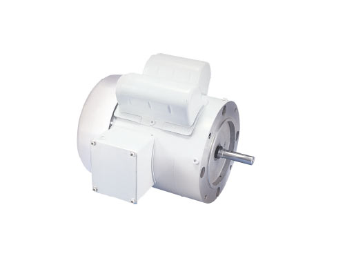 Photo of LEESON White Duck Motor