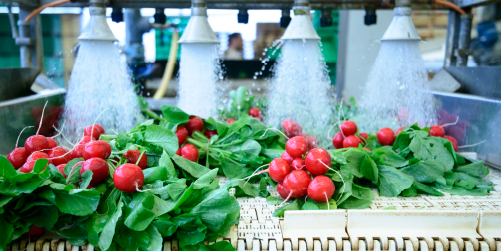 3 Certifications and Ratings You Should Know in the Food and Beverage Industry