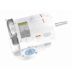 Photo of LEESON White Duck Motor