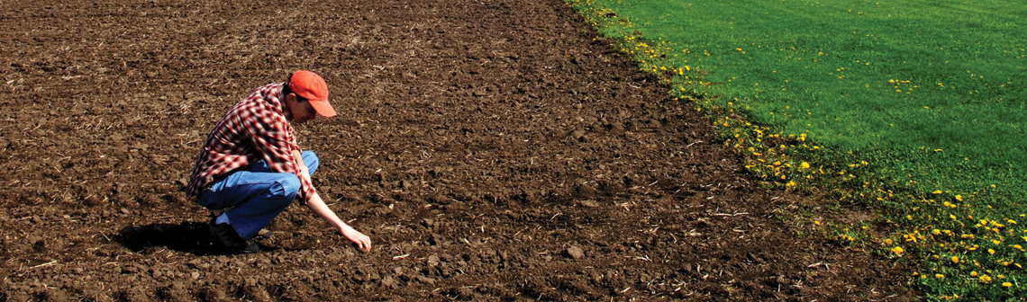 A man in a checkered polo and orange hat checking an empty field