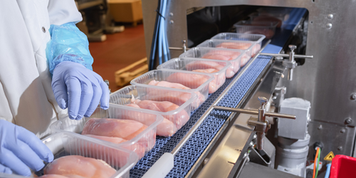 How to Prevent Food Contamination