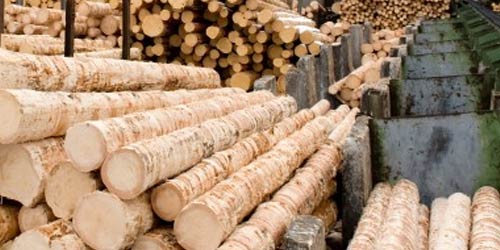 Durable Bearing Solutions for Tough Forestry Applications