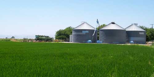 Farm Motor Matchup: Specialized Motors or General Purpose Motors?