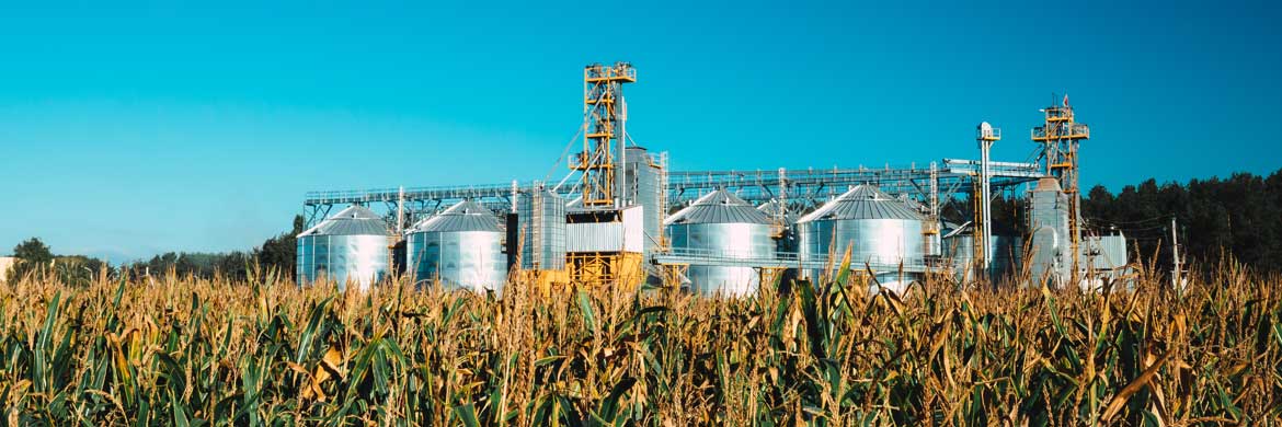 Field of crops in front of silos.