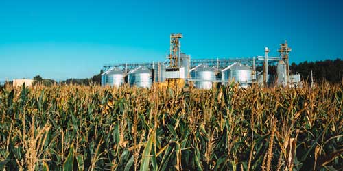 Why Electric Motors Are Vital For Barn Ventilation Systems