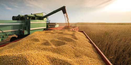Electric Motors: The Precision Solution to Inconsistent Crop Drying
