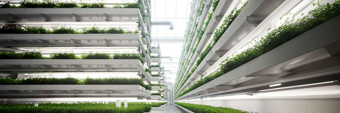 Stacks of crops growing in a vertical farm setting.