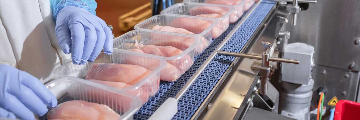 Worker examining poultry on meat processing line.