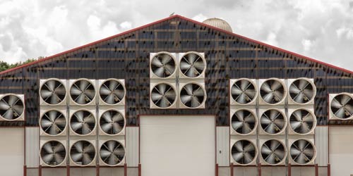 The Best Motor for Your Barn Ventilation System 