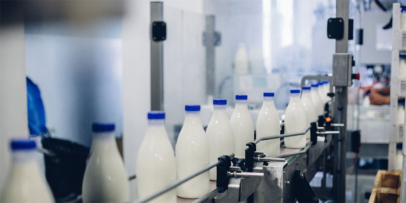 Milk production in a factory