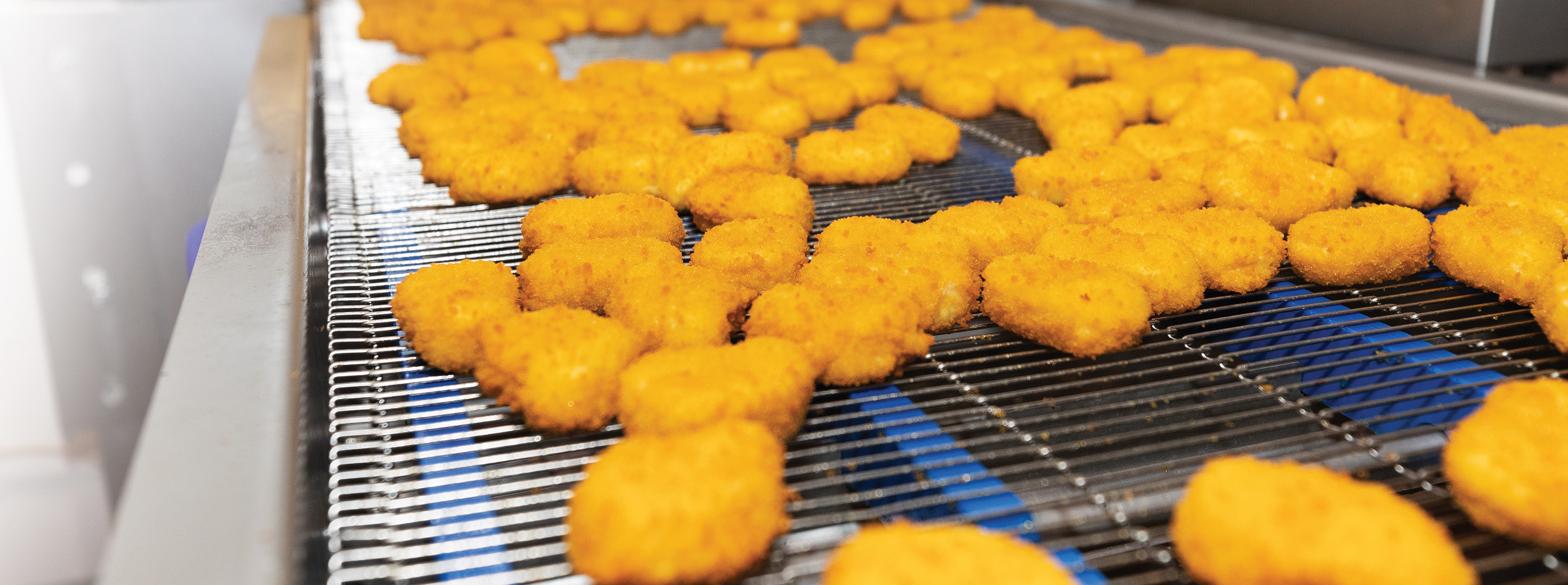 Poultry processor banner