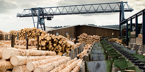 How to Select the Right Bearing for Forestry Applications