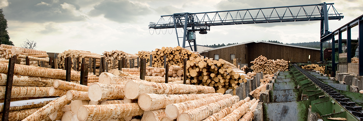 forestry bearing selection