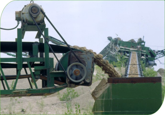 Leaf Incline Conveyor Industry Image