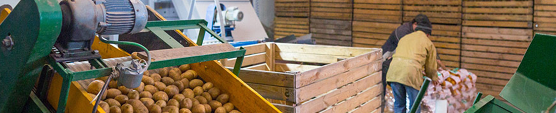 Agriculture-Blog-Banner