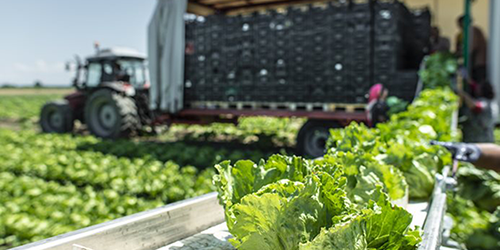 Why Bearing Lubrication Is Important in The Agriculture Industry