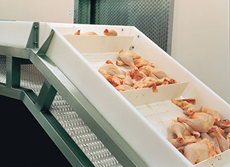 Body-Image_chicken_330x240