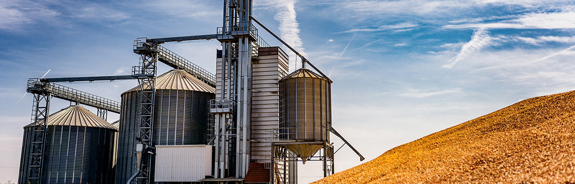 Farm Blog
