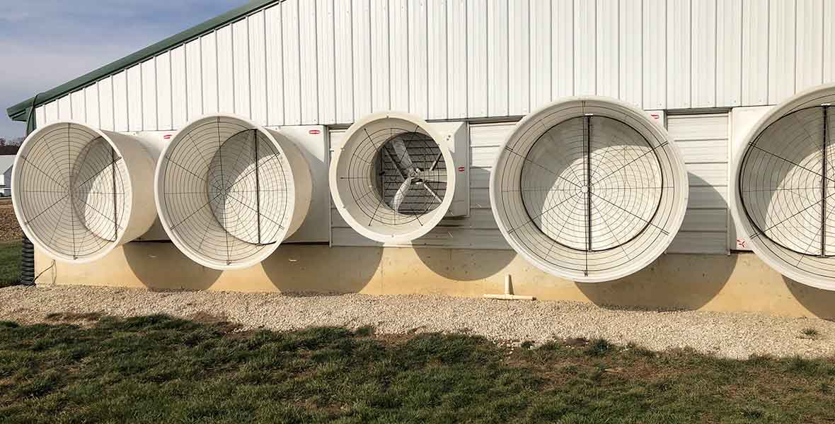 Direct Drive Motor Solution